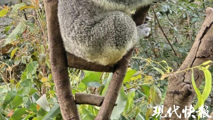 626969acom澳彩开奖结果查询626969,母婴中心用污水给宝宝洗澡,前瞻性战略落实探讨_基础版V12.82