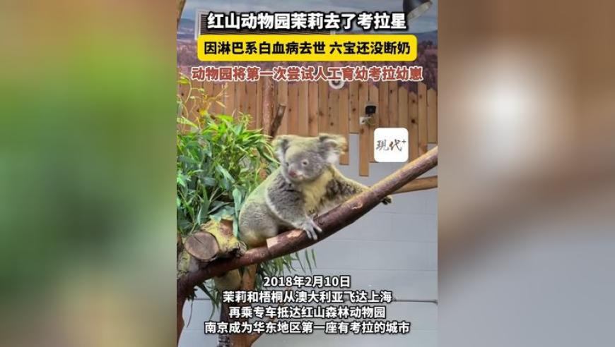 2025奥门管家婆资料正版大全,交警被无证司机冲撞不幸牺牲,准确资料解释落实_视频版V6.79