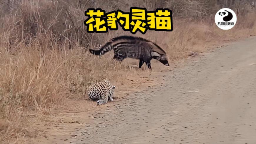 金饰价格一夜涨11元每克,醉八仙226565cm查询四肖中特,最新答案解释落实_公测版V12.68