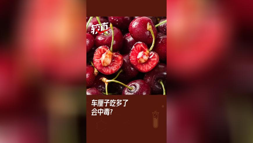 香港挂牌之全篇(最完整篇),胡歌杨紫 生命树,收益成语分析落实_投资版V9.49