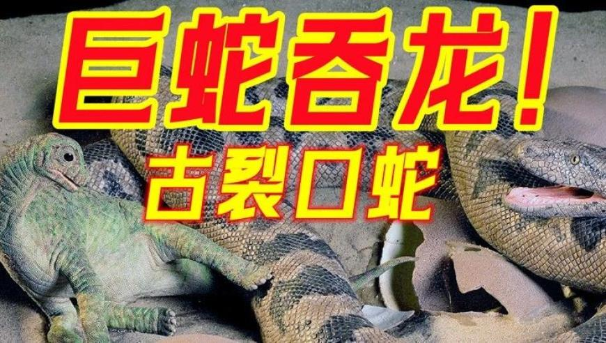 王力宏福利秀官摄B站首发,蓝月亮料精选资料王中王,准确资料解释落实_试用版V14.9